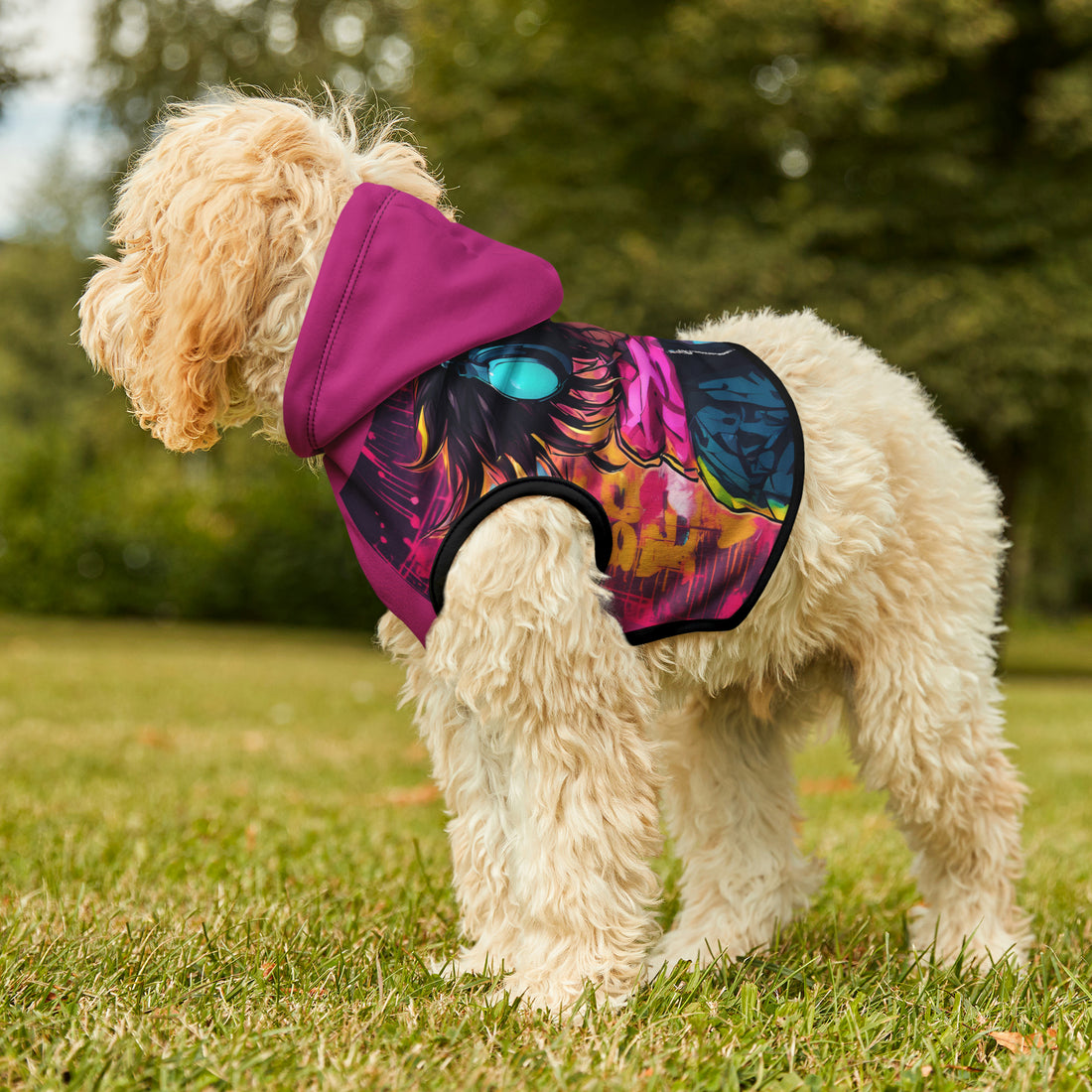  Matching Dog Hoodies