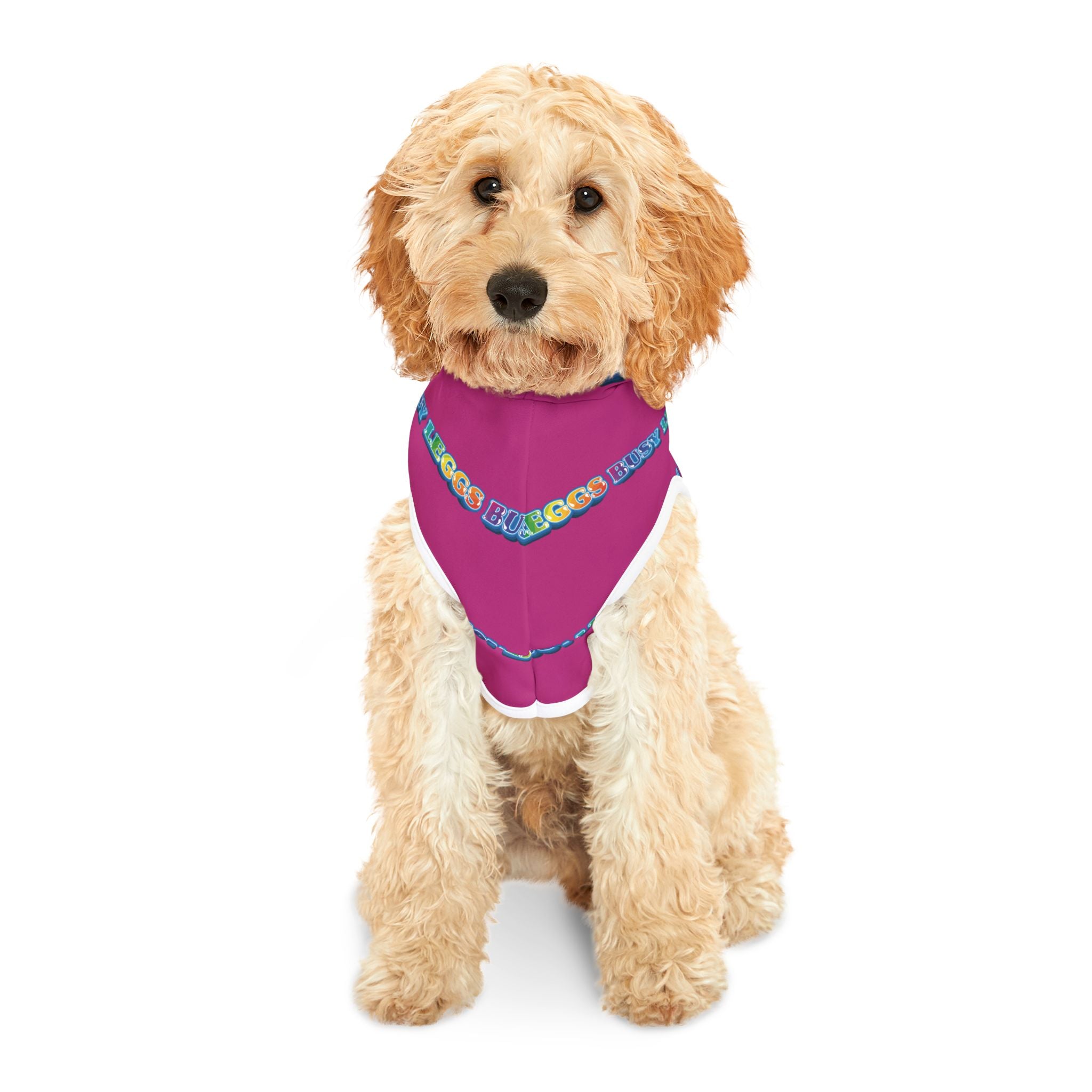 Busy Leggs Raspeberry Signature Pet Hoodie